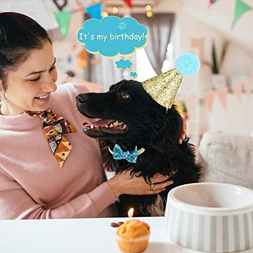 Köpek kedi Doğum Günü Partisi Malzemeleri Kedi doğum günü şapkası ve Papyon Sevimli Yeniden Kullanılabilir Köpek Pet Doğum Günü Takım