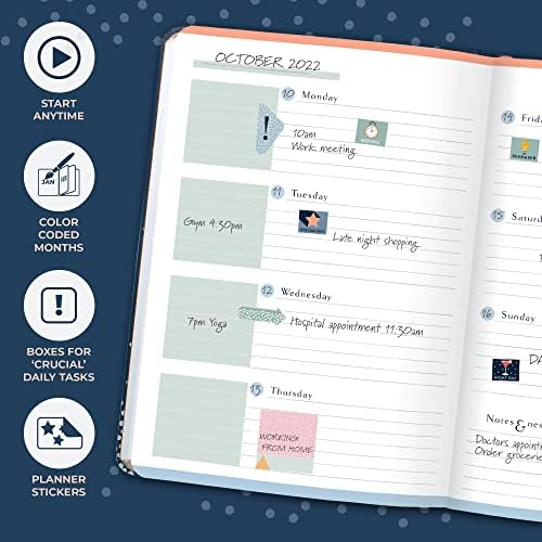 Boxclever Tarihsiz Haftalık Planlayıcıya Basın. Tarihsiz Planlayıcı Planlamak, Planlamak ve Düzenlemek için Haftalık ve Aylık. Bakkal