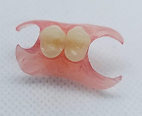 Nesbit Esnek Kısmi Protez (Hafif-Orta Diş Eti Üst Kemeri, 2 Diş - Hollywood Beyazı)