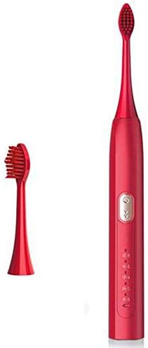 FEEZC Elektrikli Diş Fırçası, Sonic Diş Fırçası Beyazlatma Temizleme USB Şarj Edilebilir 2 Fırça Kafaları ile Su Geçirmez Yüksek Frekanslı