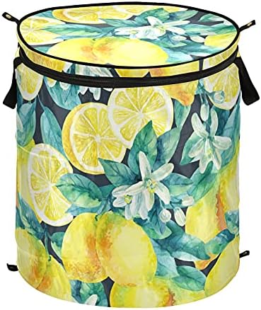 Limon Şube Yaprakları Pop Up çamaşır sepeti kapaklı Katlanabilir Depolama Sepeti Katlanabilir çamaşır torbası Kamp Piknik için Banyo