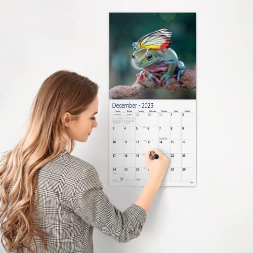 Kırmızı KÖZ Kurbağalar Ocak-Aralık 2023 Aylık Duvar Takvimi / Deluxe Edition - 5 Ekstra Tam Sayfa Resim ve Ekstra Sağlam Asma Deliği